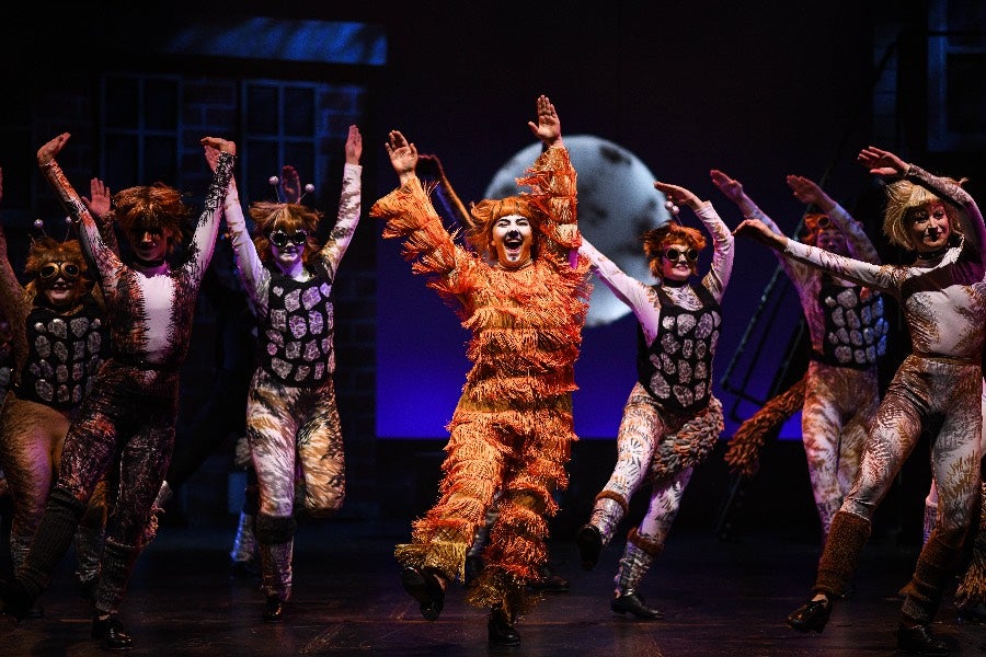 CATS