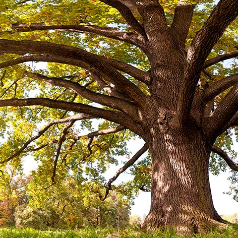 Strengthening rural and small-town ministry through community, learning, and guided support.
