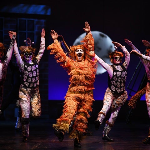 Students performing Cats
