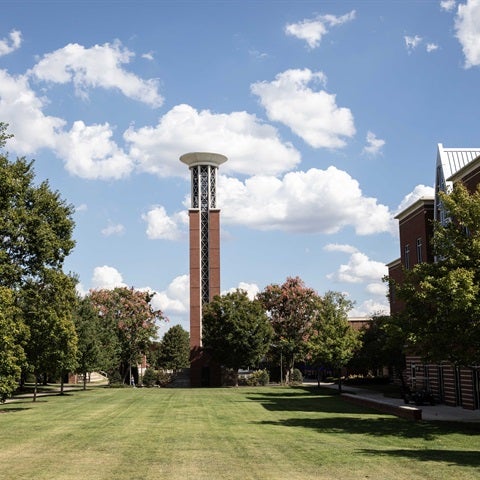 green lawn in front of bell tower