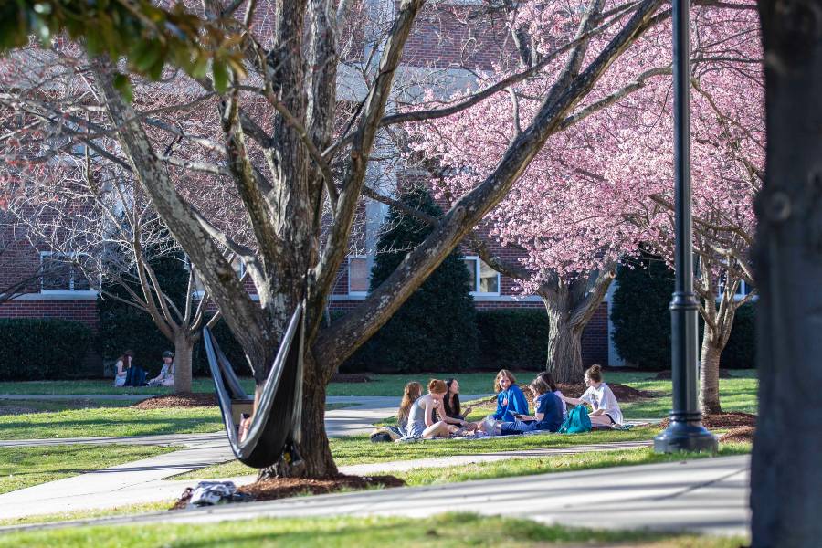 Students studying outside in the spring. 