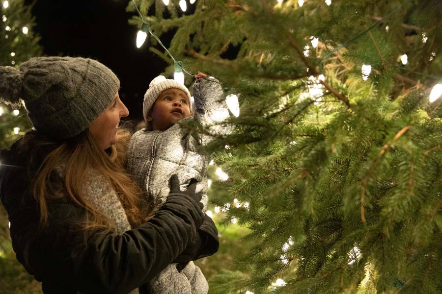 A child looks at the Lipscomb Christmas tree