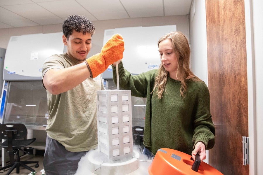 Students working with the freezer in the lab