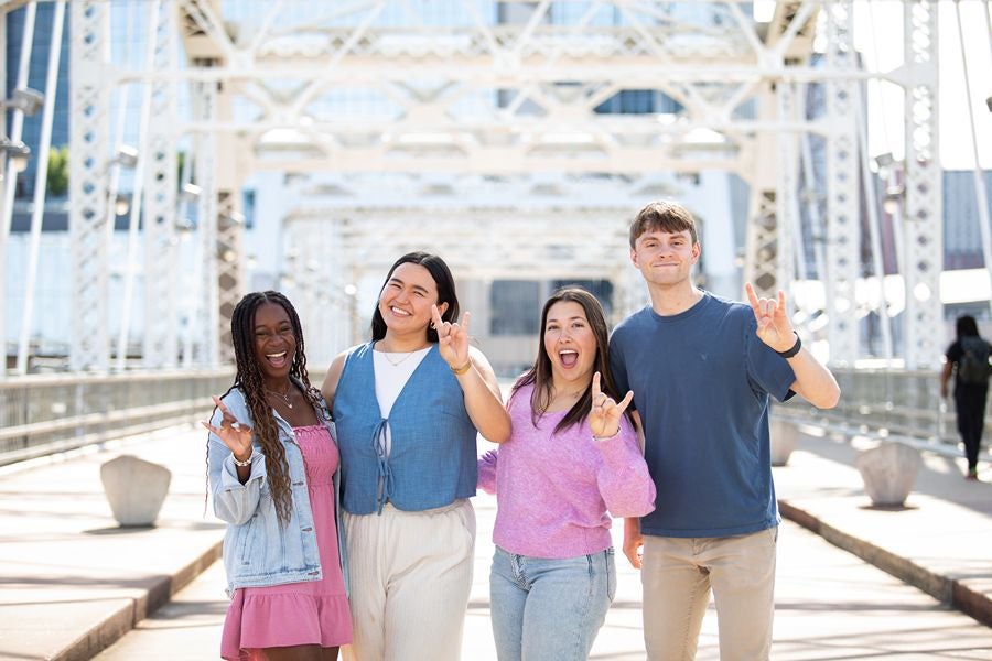 Pedestrian Bridge