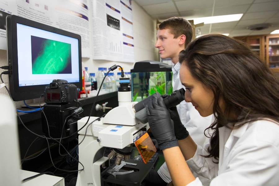 Students looking at microscope.
