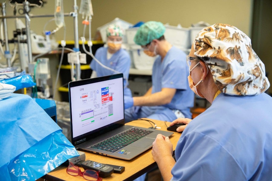 Students conducting a perfusion simulation