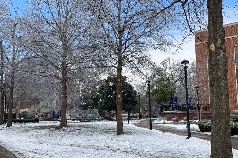 A scene of snow in Bison Square