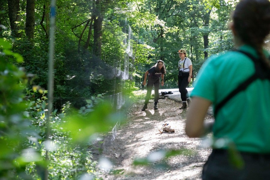 Lexi Price with other Warner staff monitoring a net to catch birds for banding