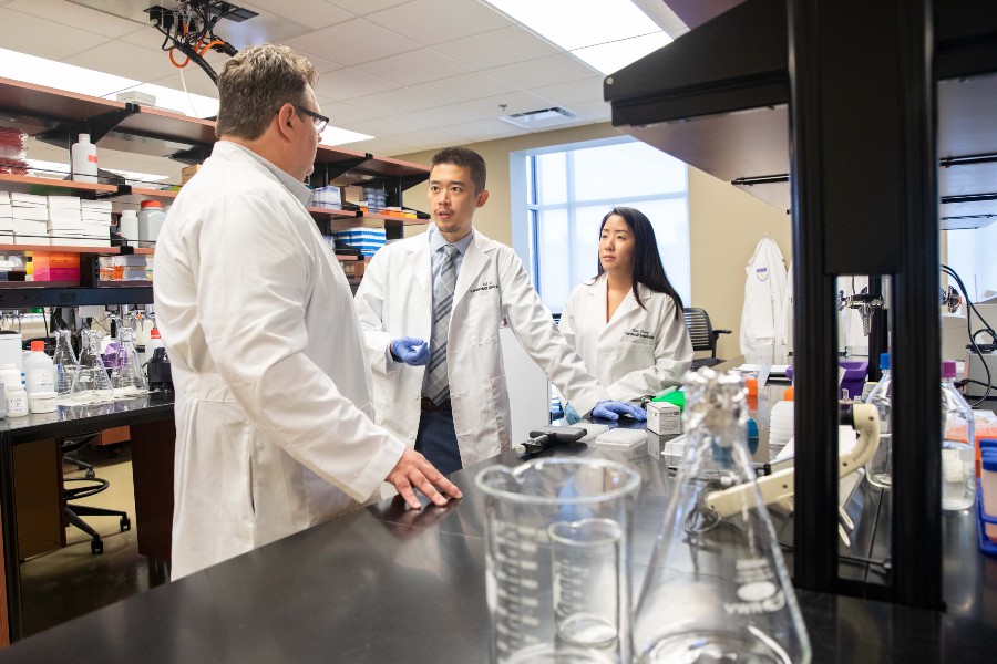 Ph.D. pathway guides students into pharmaceutical sciences research ...