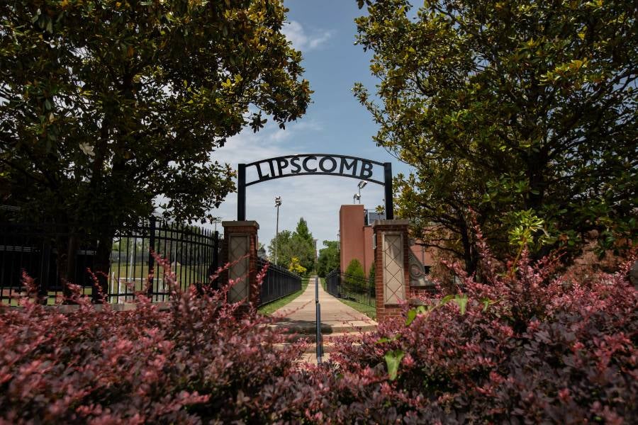 Lipscomb arch