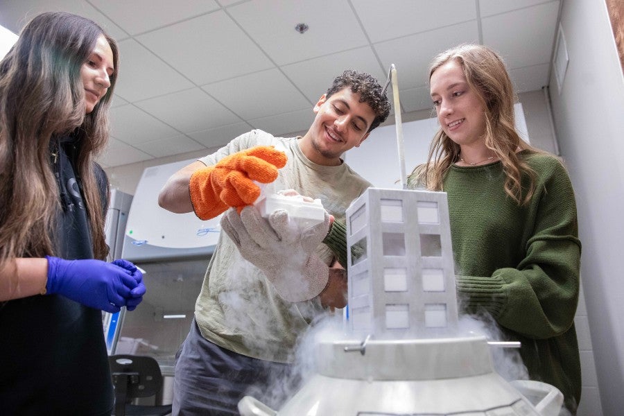 Students embark on a new Journey this fall