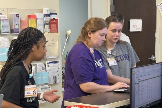 Students working in a clinic on the computer.