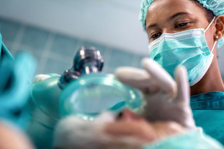 An anesthesiology assistant working in an operating room