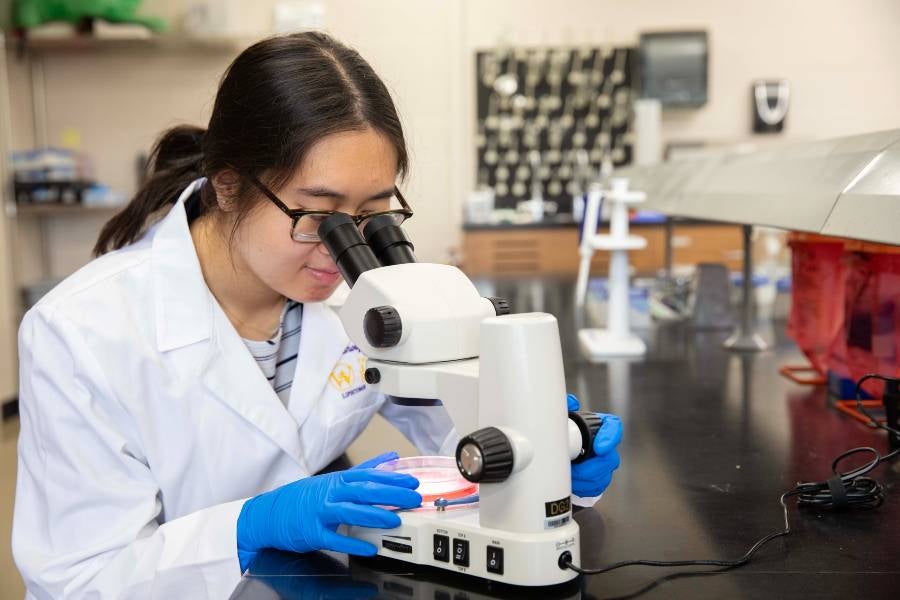 Provost’s List, Honor Roll recognizes academic achievements for summer term 2026