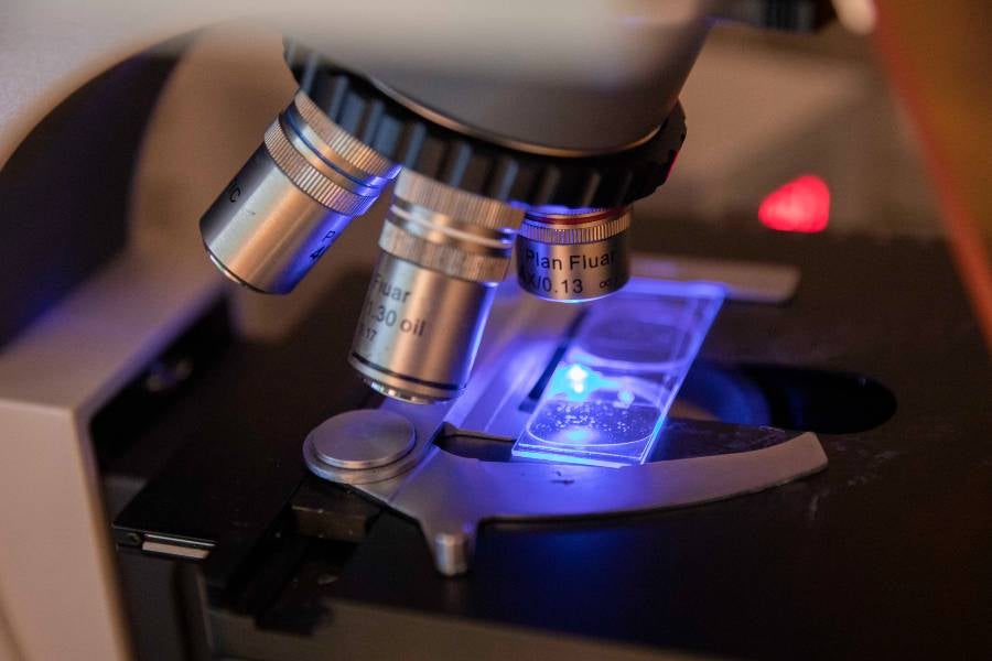 Freshmen Bennett, Sublett begin hands-on research in first year as Biology Research Fellows