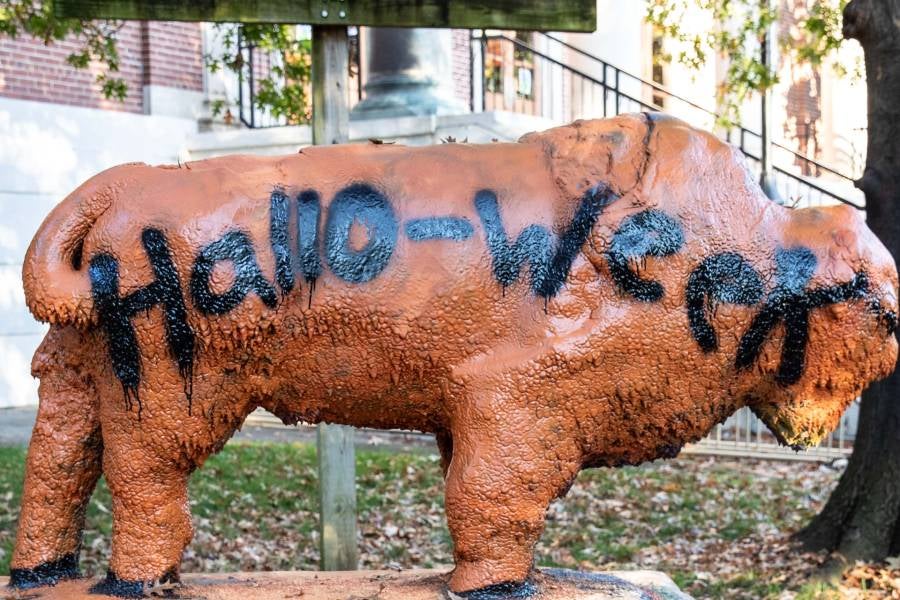 Bison statue painted orange with the words "hallo-week" in black