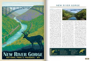 ADG's Illustrated National Park Interior Pages