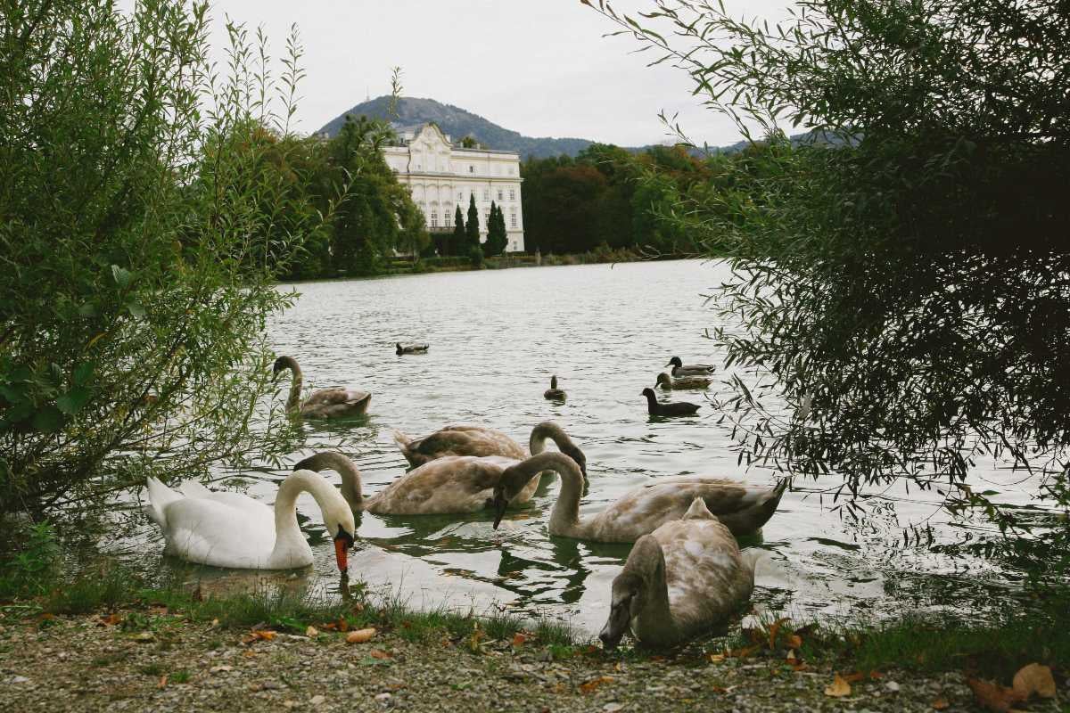 photo from Vienna by alumna Shelby Smith Mick