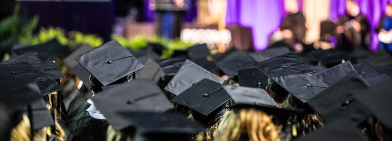 Behind view of students' graduation caps