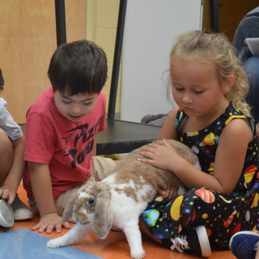 Dash the SEED School Bunny