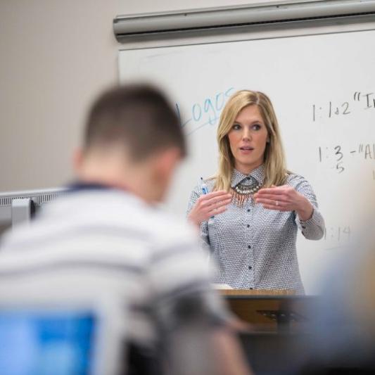 Professor Teaching students