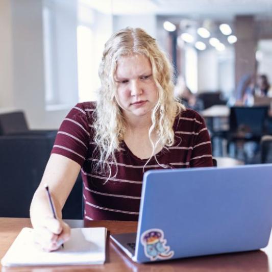 Student studying online