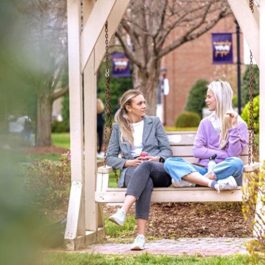 students on bench swing