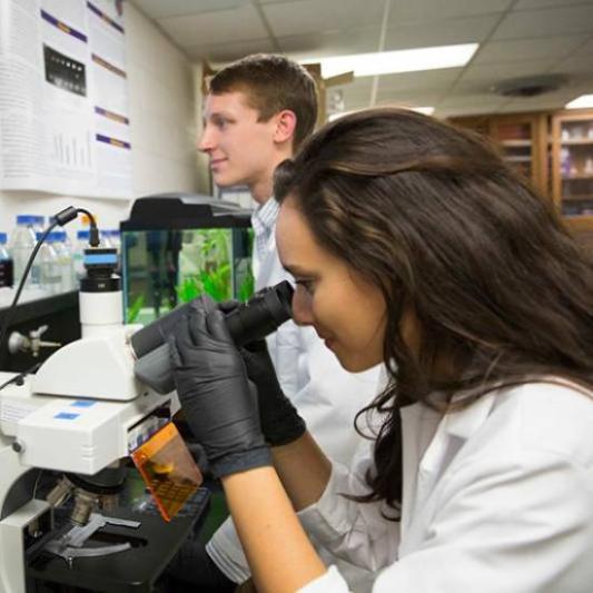 student looking through a microscope