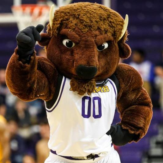 lou the bison