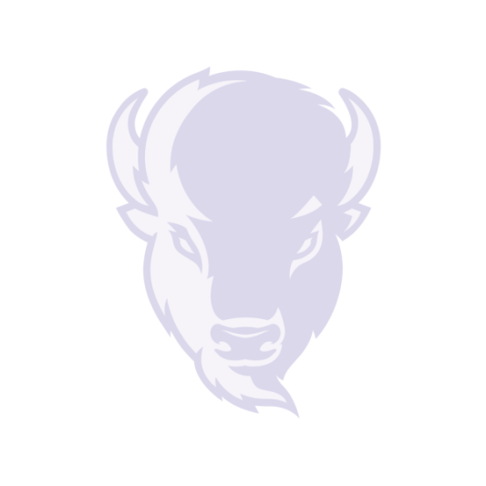 bison logo