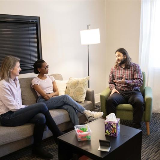 Family Therapy Session