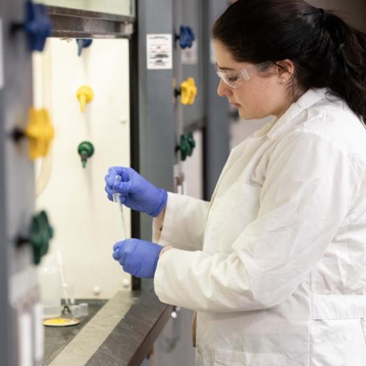chemist inspecting beakers