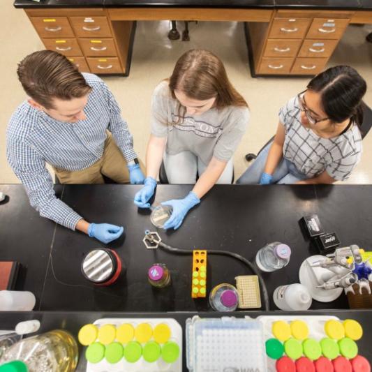 Professor and students working at bench in the biology lab
