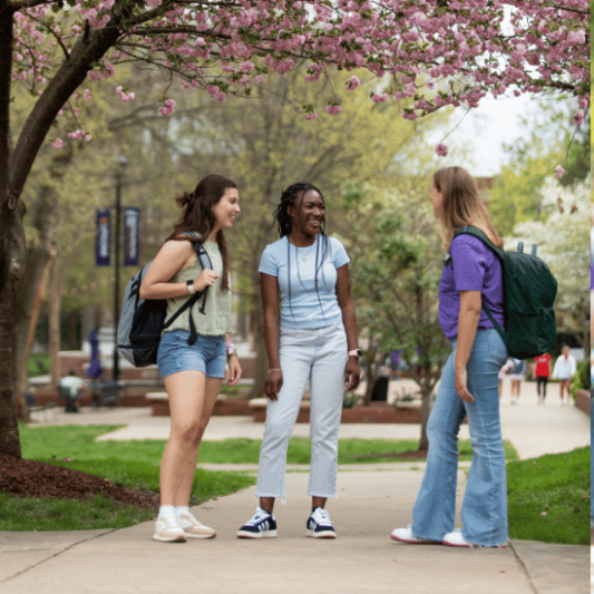 Students talking on campus in the spring