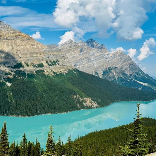 River, trees, and mountains in the Canadian Rockies