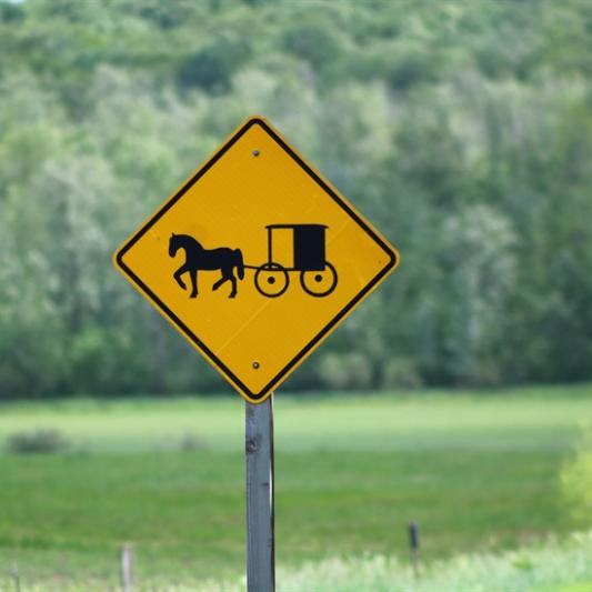 horse drawn buggy road sign