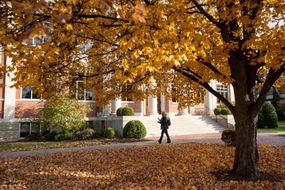 student walking in the leaves. 