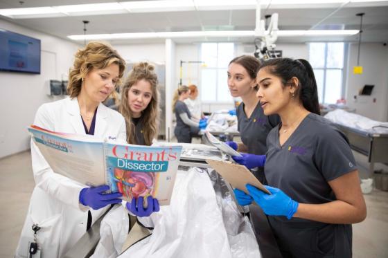 Professor instructing health science students in anatomy class