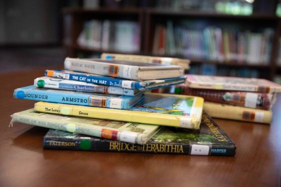 Children's library books that are the subject of faculty research this year