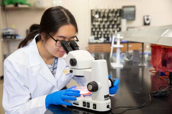 Girl at microscope