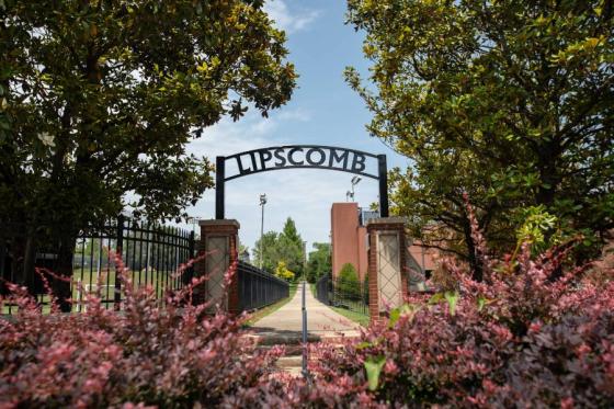 Lipscomb Arch with redbuds in the forefront. 